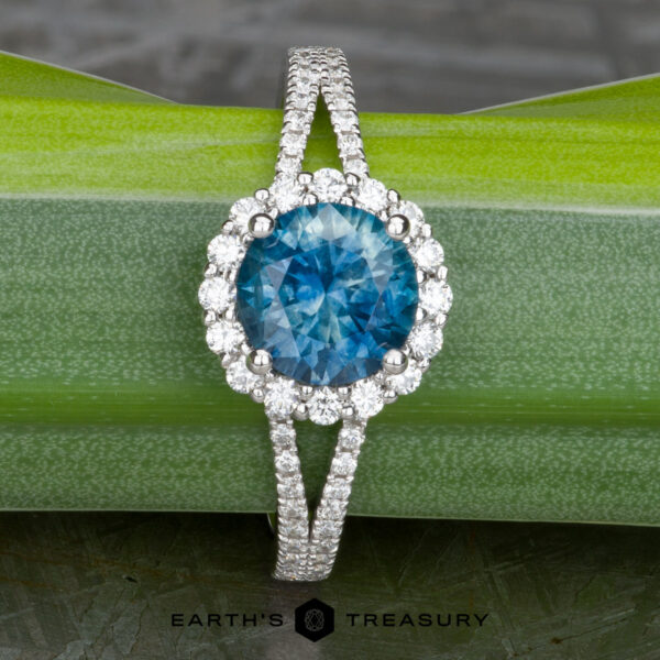 The "Charlotte" ring in 14k white gold with 1.71-carat Montana sapphire