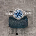 The “Ismene” ring in 14k white gold with 1.29-Carat Montana Sapphire