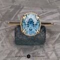 The “Ainsley” ring in 14k yellow gold with 3.60-Carat Montana Sapphire