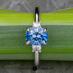 The "Alocasia" in platinum with 1.42-Carat Montana Sapphire