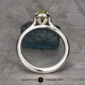 The “Ainsley” ring in 14k white gold with 0.94-Carat Australian Sapphire