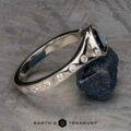 The "Corvus" Ring in platinum with 1.00-Carat Australian Sapphire