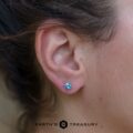 Premium 5.4mm Montana Sapphire Earrings (Heated)