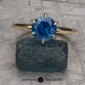 The Minimal "Anemone" ring in 14k yellow gold with 1.60-carat Montana sapphire