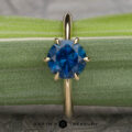 The Minimal "Anemone" ring in 14k yellow gold with 1.60-carat Montana sapphire