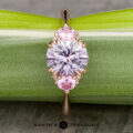 The Lilium ring in 20k pink gold with 1.72-Carat Montana Sapphire