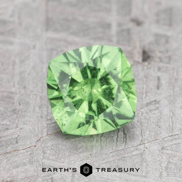 A 1.20-carat Tsavorite Garnet rests on a textured gray surface, with the label "Earth's Treasury" at the bottom.