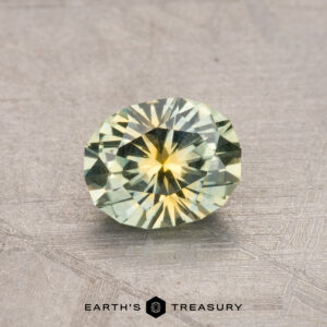 A round, faceted gemstone with pale green hues, set on a textured surface. The text "Earth's Treasury" is at the bottom, featuring the 0.89-Carat Montana Sapphire (Heated).